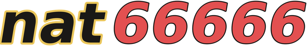 nat66666 logo